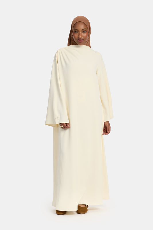 Asymmetrische Abaya Egret